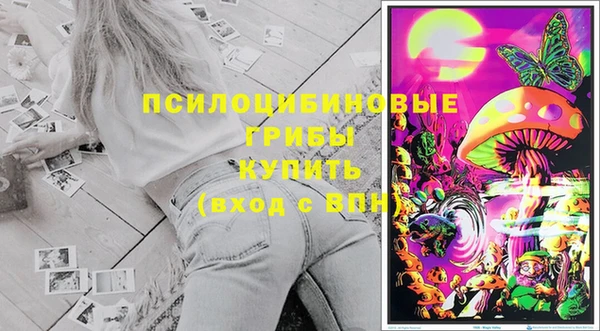 jwh Медногорск
